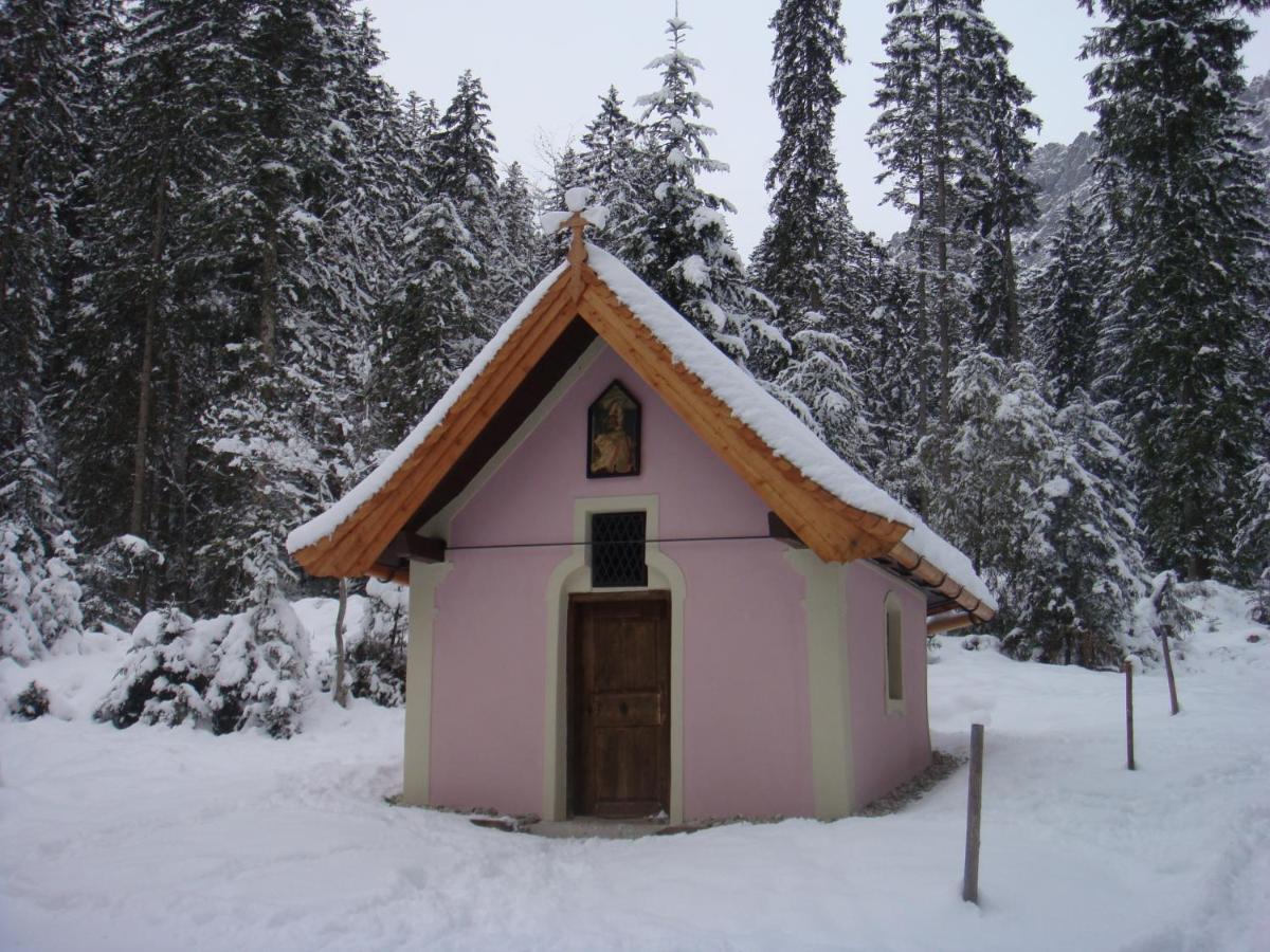Otto Steiner Appartements Pension Ellmau & Wilder Kaiser Kültér fotó